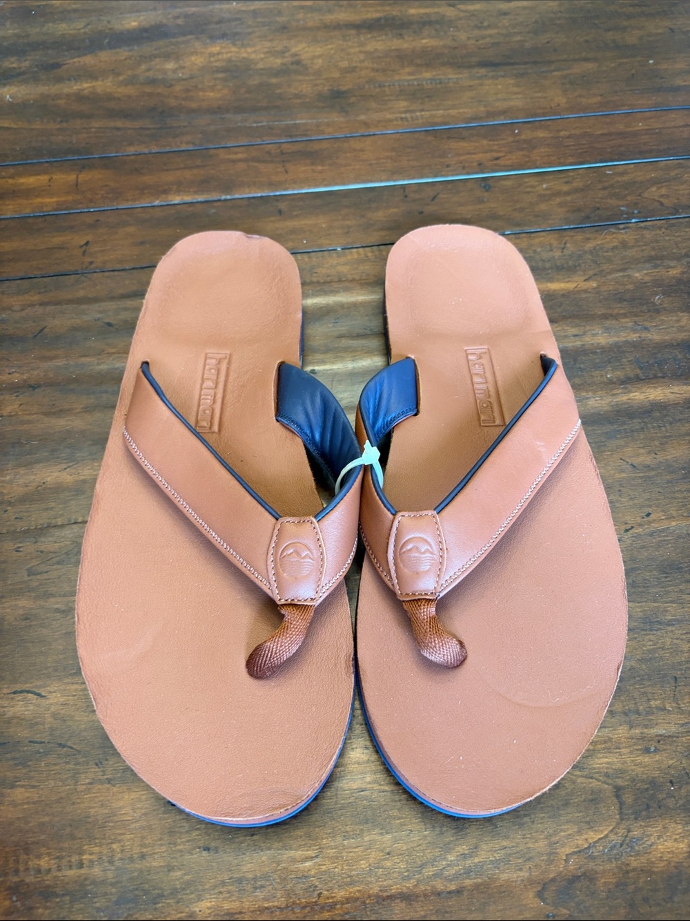 Hari Mari Cash Clipper Men US ASST. Sizes ACs